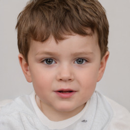 Neutral white child male with short  brown hair and brown eyes