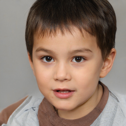 Neutral white child male with short  brown hair and brown eyes