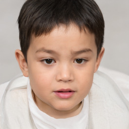 Neutral white child male with short  brown hair and brown eyes