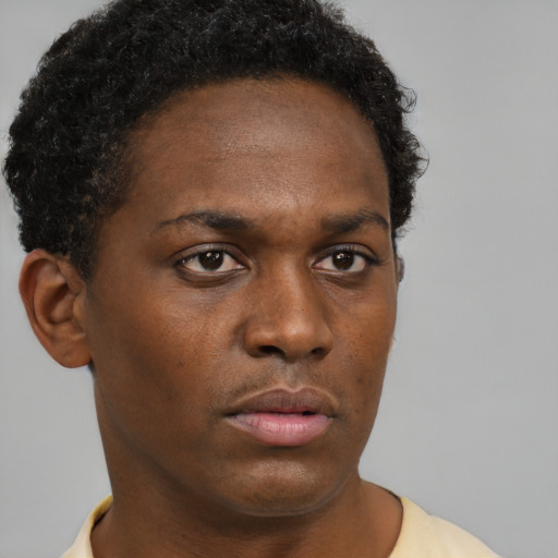 Neutral black young-adult female with short  brown hair and brown eyes