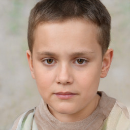 Neutral white child male with short  brown hair and brown eyes