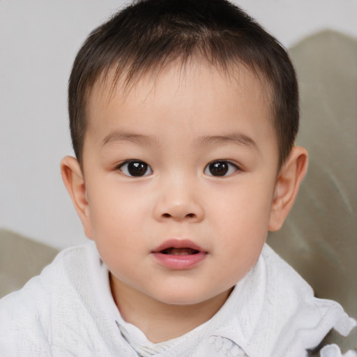 Neutral white child male with short  brown hair and brown eyes