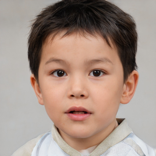 Neutral white child male with short  brown hair and brown eyes