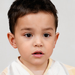 Neutral white child male with short  brown hair and brown eyes