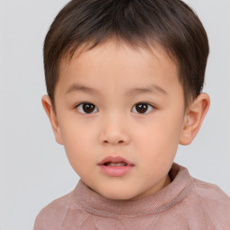 Neutral white child male with short  brown hair and brown eyes