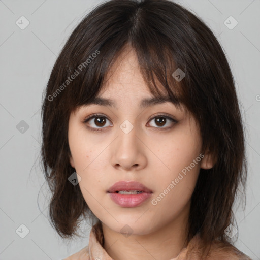 Neutral asian young-adult female with medium  brown hair and brown eyes