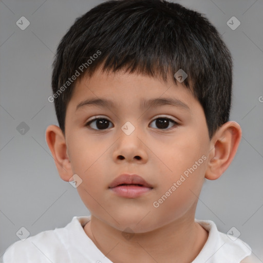 Neutral white child male with short  brown hair and brown eyes