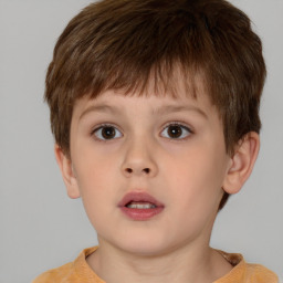 Neutral white child male with short  brown hair and brown eyes