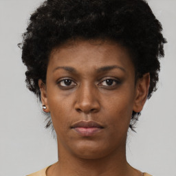 Neutral black young-adult female with short  black hair and brown eyes