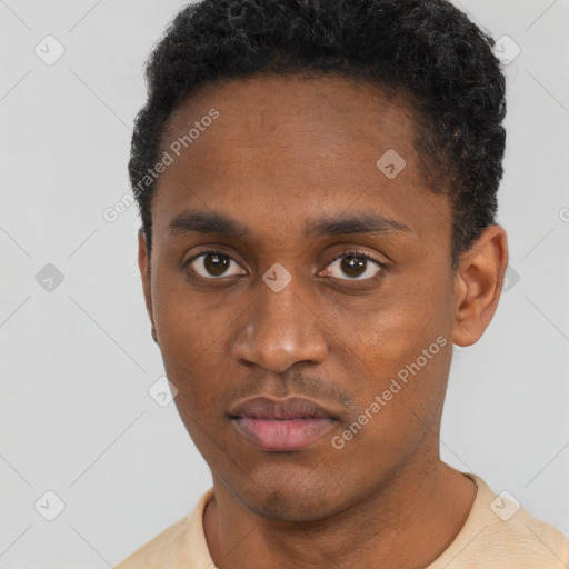 Neutral black young-adult male with short  black hair and brown eyes