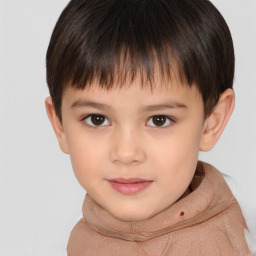 Joyful white child male with short  brown hair and brown eyes