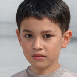 Neutral white child male with short  brown hair and brown eyes