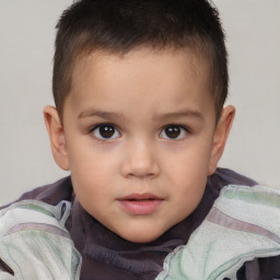 Neutral white child male with short  brown hair and brown eyes