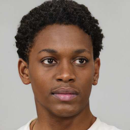 Neutral black young-adult female with short  brown hair and brown eyes
