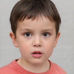 Neutral white child male with short  brown hair and brown eyes