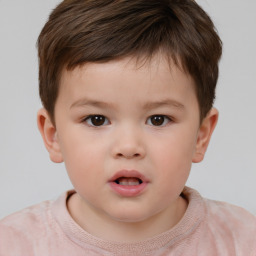 Neutral white child male with short  brown hair and brown eyes