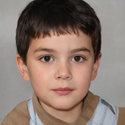 Neutral white child male with short  brown hair and brown eyes