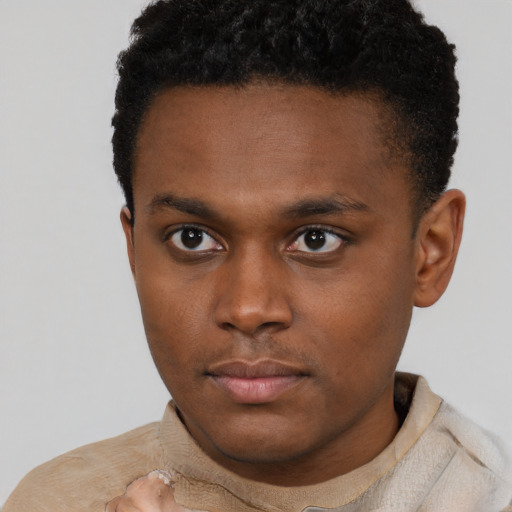 Neutral black young-adult male with short  brown hair and brown eyes