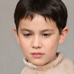 Neutral white child male with short  brown hair and brown eyes