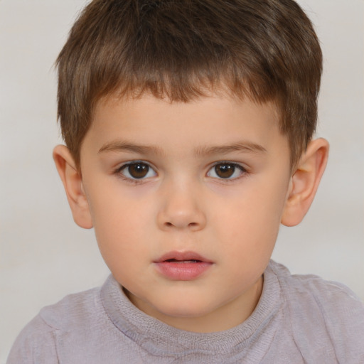 Neutral white child male with short  brown hair and brown eyes