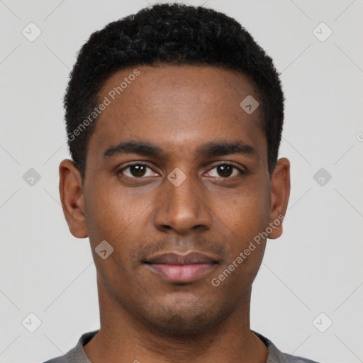 Neutral black young-adult male with short  black hair and brown eyes