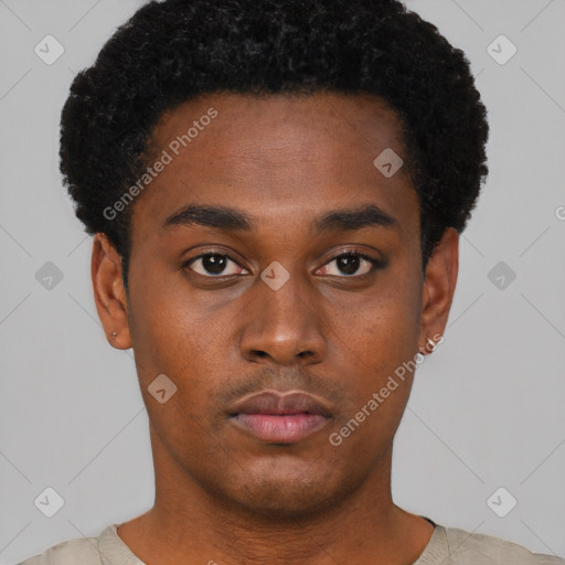 Neutral black young-adult male with short  black hair and brown eyes