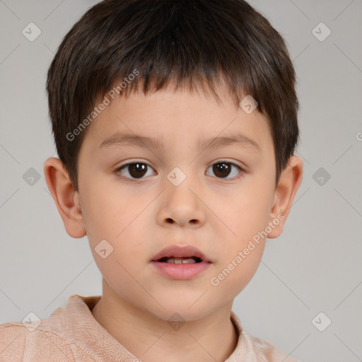 Neutral white child male with short  brown hair and brown eyes