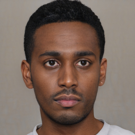 Neutral black young-adult male with short  black hair and brown eyes