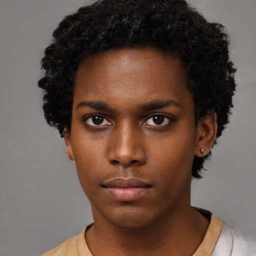 Neutral black young-adult female with short  black hair and brown eyes