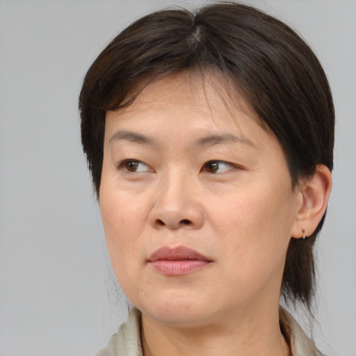 Joyful asian adult female with medium  brown hair and brown eyes