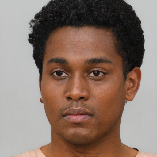 Neutral black young-adult male with short  black hair and brown eyes