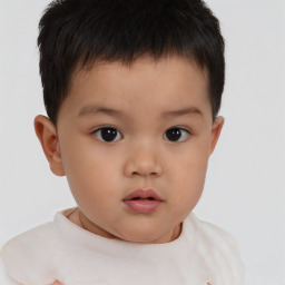 Neutral white child male with short  brown hair and brown eyes