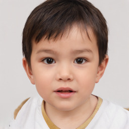 Neutral white child male with short  brown hair and brown eyes