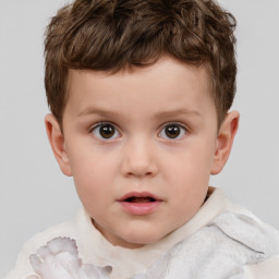 Neutral white child male with short  brown hair and brown eyes