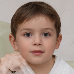 Neutral white child male with short  brown hair and brown eyes