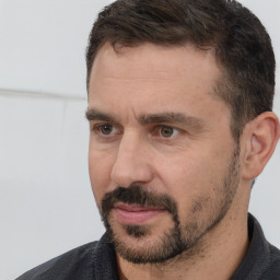 Neutral white adult male with short  brown hair and brown eyes