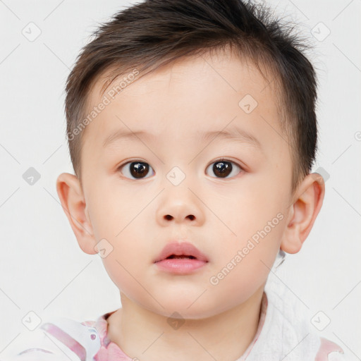 Neutral white child male with short  brown hair and brown eyes