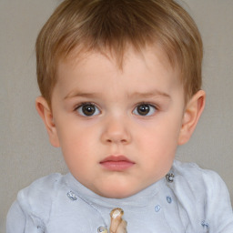 Neutral white child male with short  brown hair and brown eyes