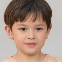 Neutral white child male with short  brown hair and brown eyes