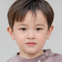 Neutral white child male with short  brown hair and brown eyes