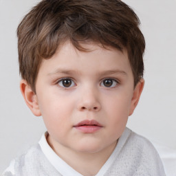 Neutral white child male with short  brown hair and brown eyes