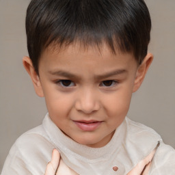 Joyful white child male with short  brown hair and brown eyes