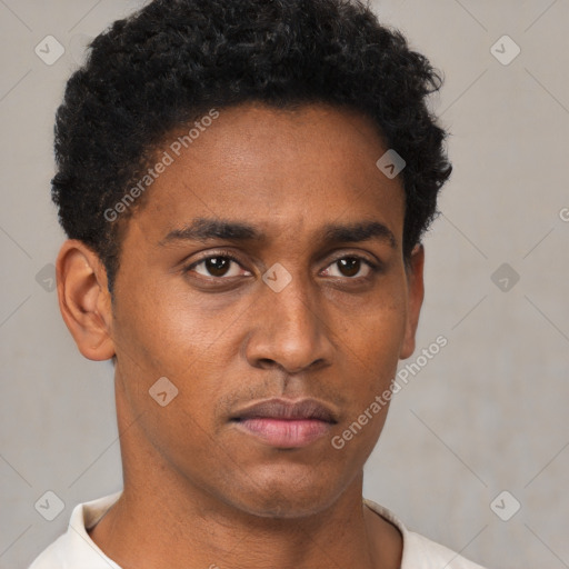 Neutral black young-adult male with short  brown hair and brown eyes