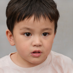 Neutral white child male with short  brown hair and brown eyes