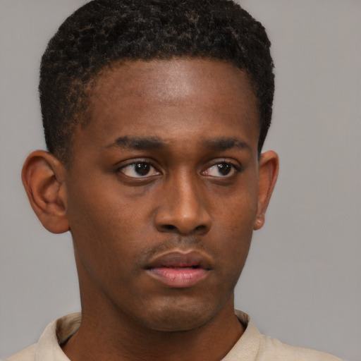Neutral black young-adult male with short  brown hair and brown eyes