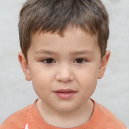 Neutral white child male with short  brown hair and brown eyes