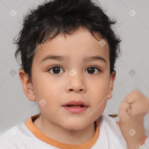 Neutral white child male with short  brown hair and brown eyes