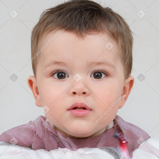 Neutral white child male with short  brown hair and brown eyes