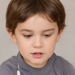 Neutral white child male with short  brown hair and brown eyes