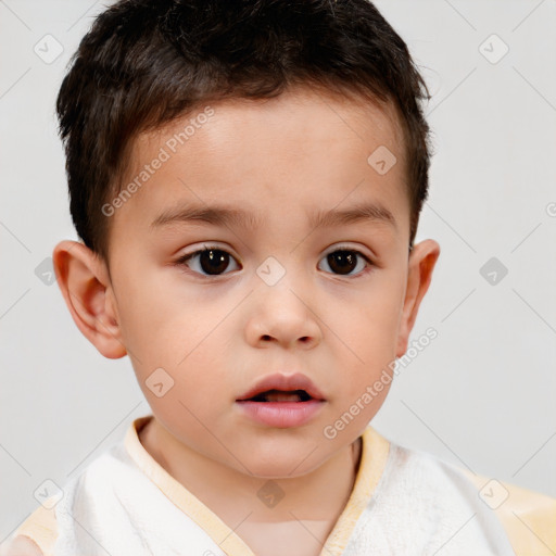 Neutral white child male with short  brown hair and brown eyes